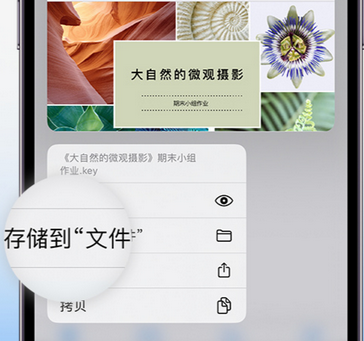 漾濞apple维修中心分享iPhone文件应用中存储和找到下载文件