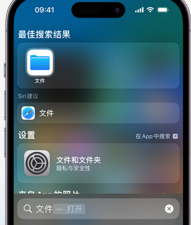 漾濞apple维修中心分享iPhone文件应用中存储和找到下载文件 