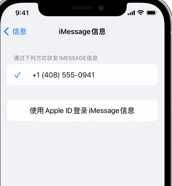 漾濞apple维修iPhone上无法正常发送iMessage信息 