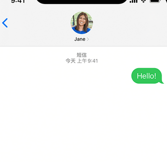 漾濞apple维修iPhone上无法正常发送iMessage信息