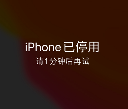 漾濞苹果手机维修分享:iPhone 显示“不可用”或“已停用”怎么办？还能保留数据吗？ 