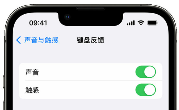 漾濞苹果手机维修分享iPhone 14触感键盘使用方法 