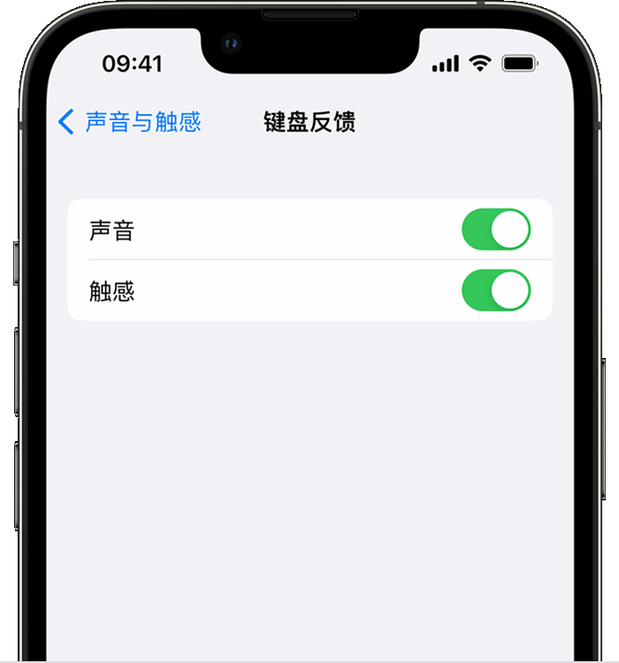 漾濞苹果14维修店分享如何在 iPhone 14 机型中使用触感键盘 