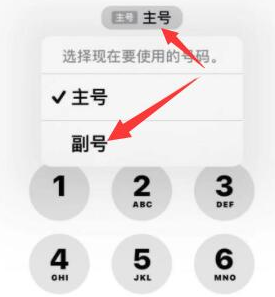 漾濞苹果14维修店分享iPhone 14 Pro Max使用副卡打电话的方法 