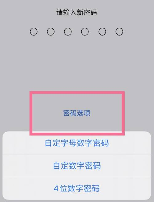 漾濞苹果14维修分享iPhone 14plus设置密码的方法 