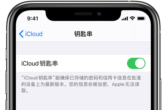 漾濞苹果手机维修分享在 iPhone 上开启 iCloud 钥匙串之后会储存哪些信息 