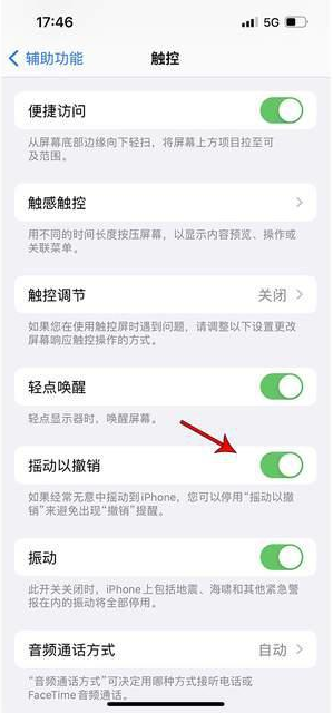 漾濞苹果手机维修分享iPhone手机如何设置摇一摇删除文字 