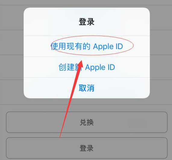 漾濞苹果手机维修分享两台iPhone设备可以同时登录一个Apple ID吗 