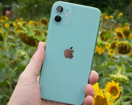 漾濞苹果维修点分享iPhone 11锁屏密码认知与使用科普 