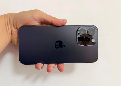 漾濞苹果维修点分享iPhone 14 Pro Max黑屏少见故障盘点 